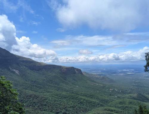Mariepskop Dayhike – April 18th